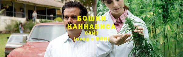 гидропоника Богданович