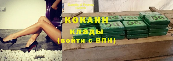 гашик Пересвет