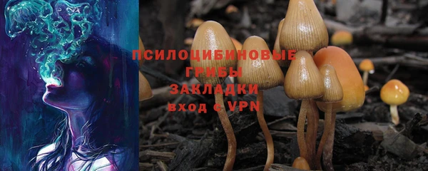 тгк Богородицк