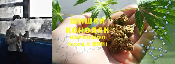 гашик Пересвет