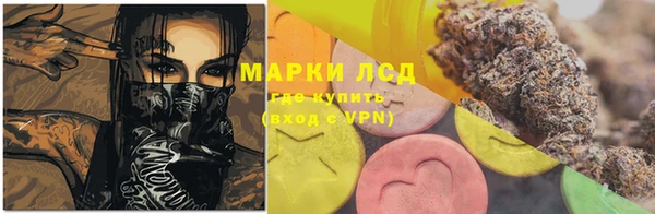 гашик Пересвет
